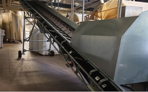 Belt conveyor for viticulture