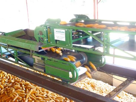 Two-way agricultural conveyor 