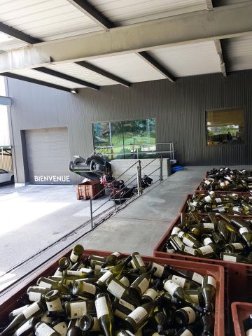 Bandförderer für den Weinbau